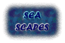 Landscapes, Seascapes, City scapes, mind scapes...everything except fire escapes!